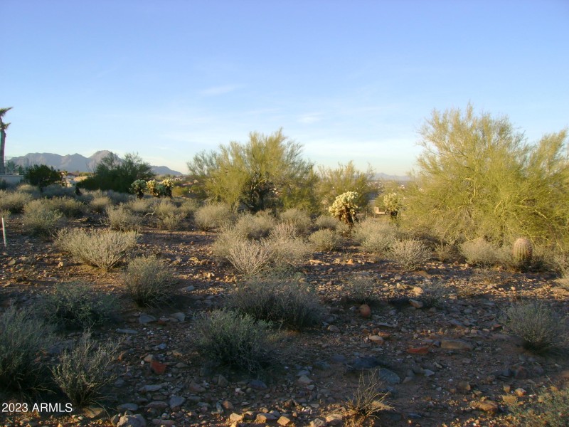 Landscape