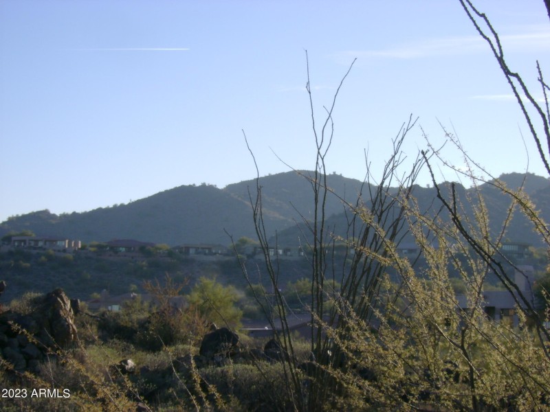 McDowell Mountains again