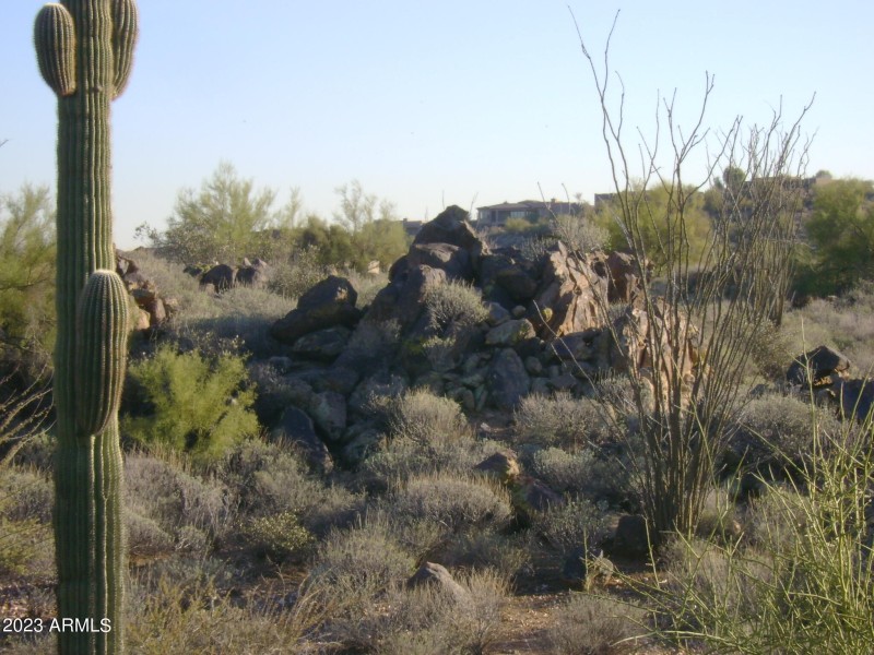 Saguaro and rock formation