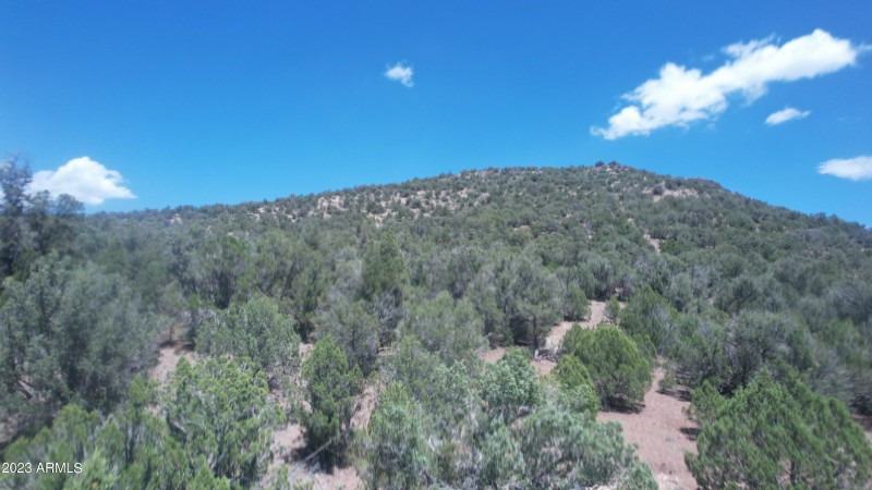 DJI_0736