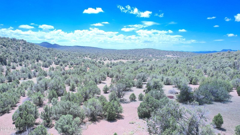DJI_0746