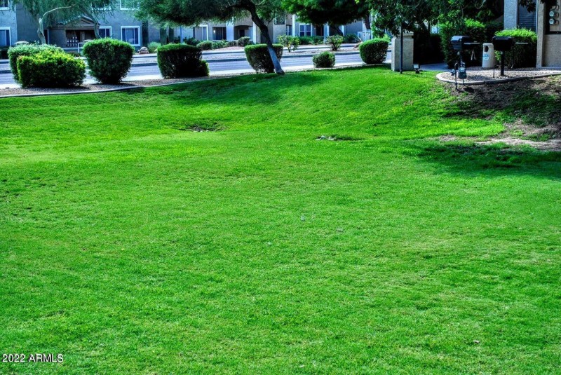 Kids and Pets Love It Here