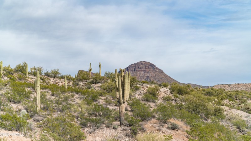 Winkelman Land For Sale 60 Acres-20