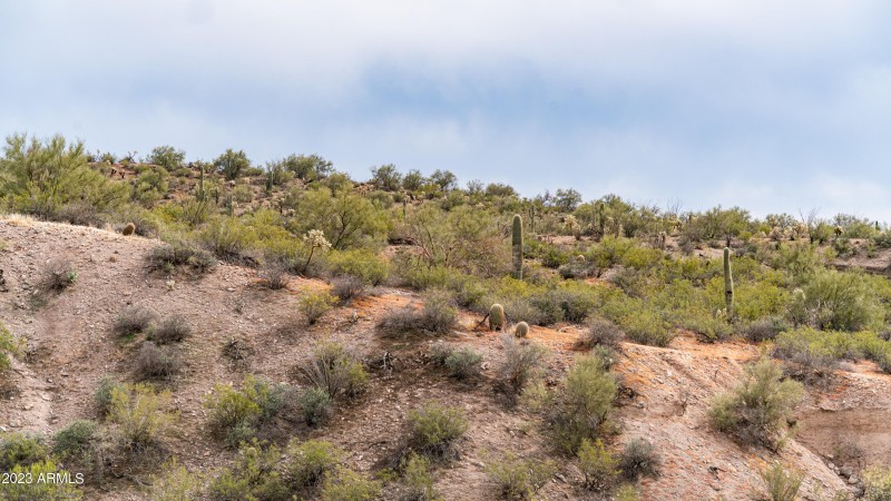 Winkelman Land For Sale 60 Acres-21