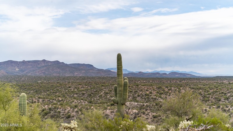 Winkelman Land For Sale 60 Acres-29