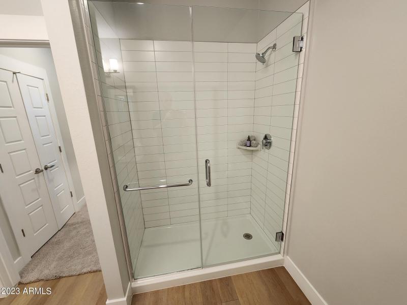 Master Walk-In Shower