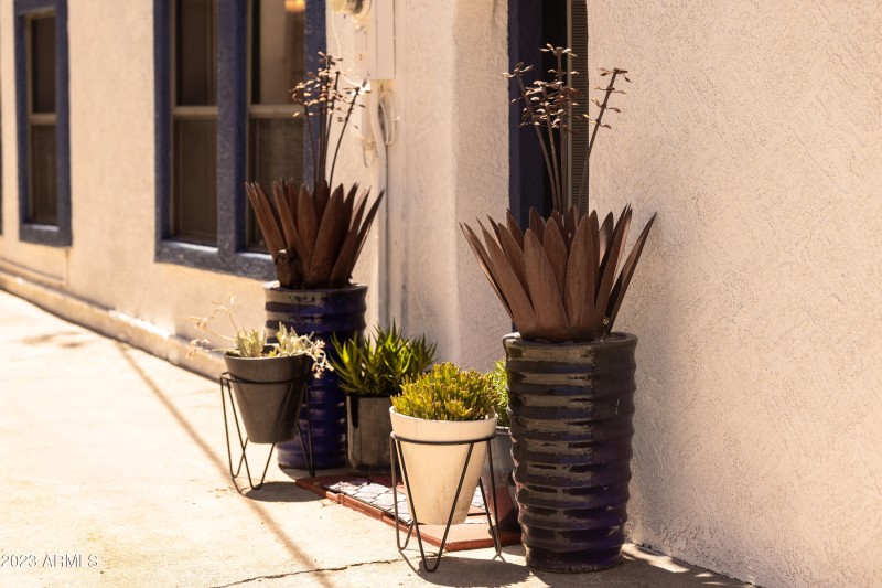 Shane Baker Studios Solo (22 of 24)