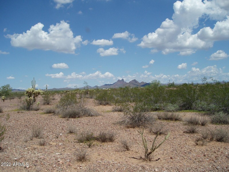 P8260016