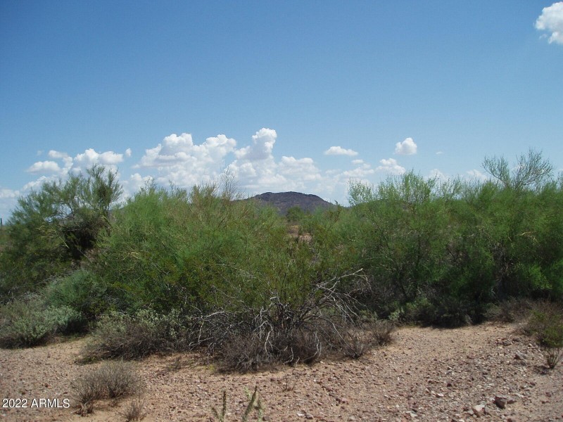 P8260018