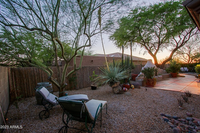 Backyard 4