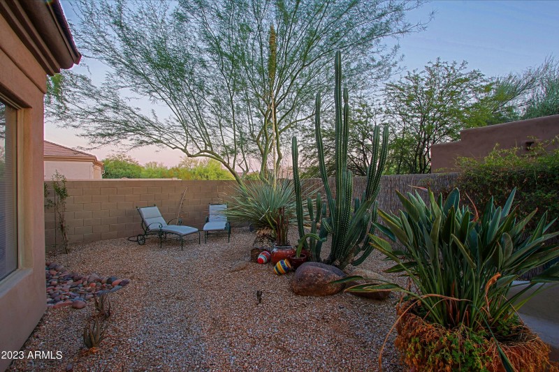 Backyard 5