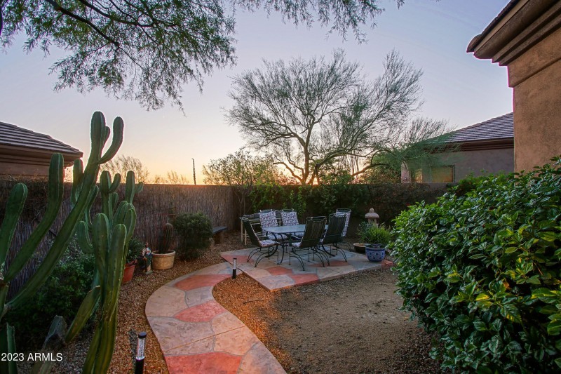 Backyard 6