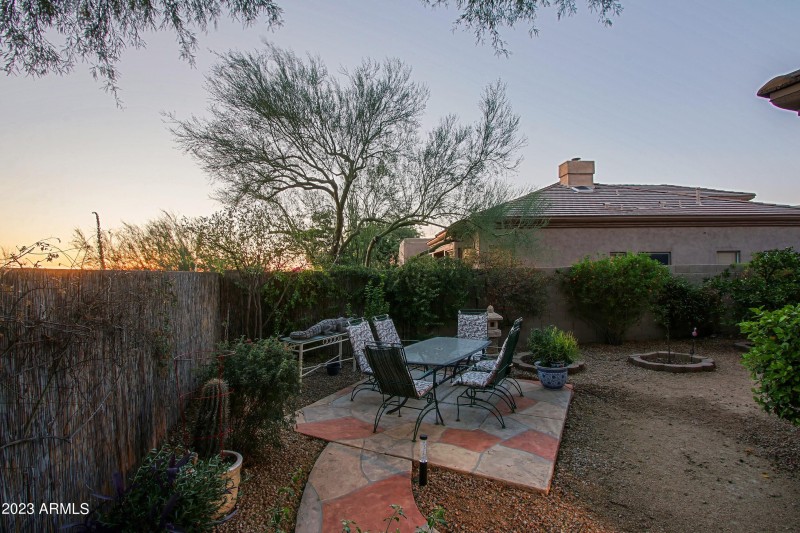 Backyard 7