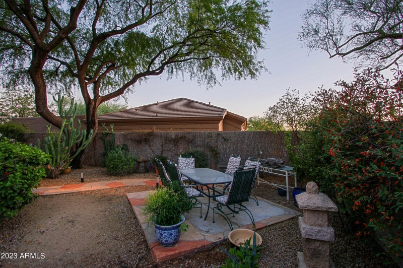 Backyard 8