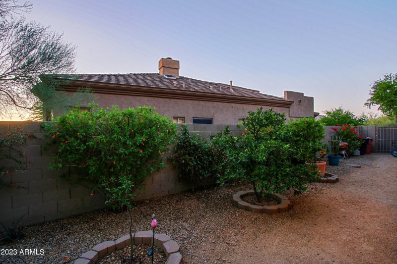 Backyard 9