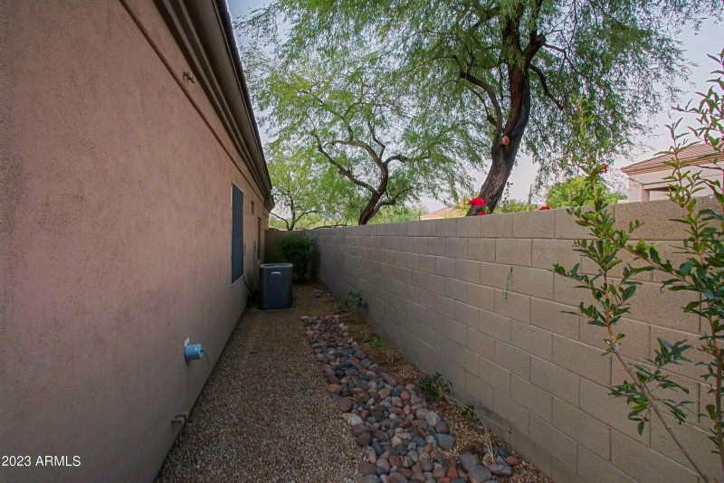 Side Yard