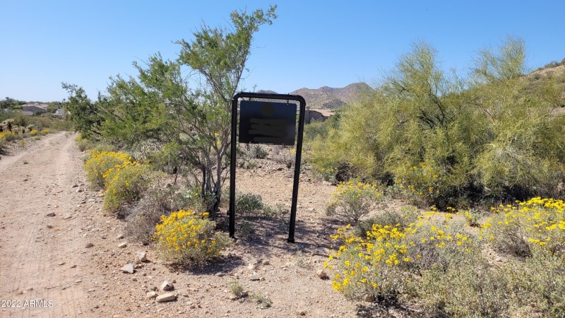 No Sign 2