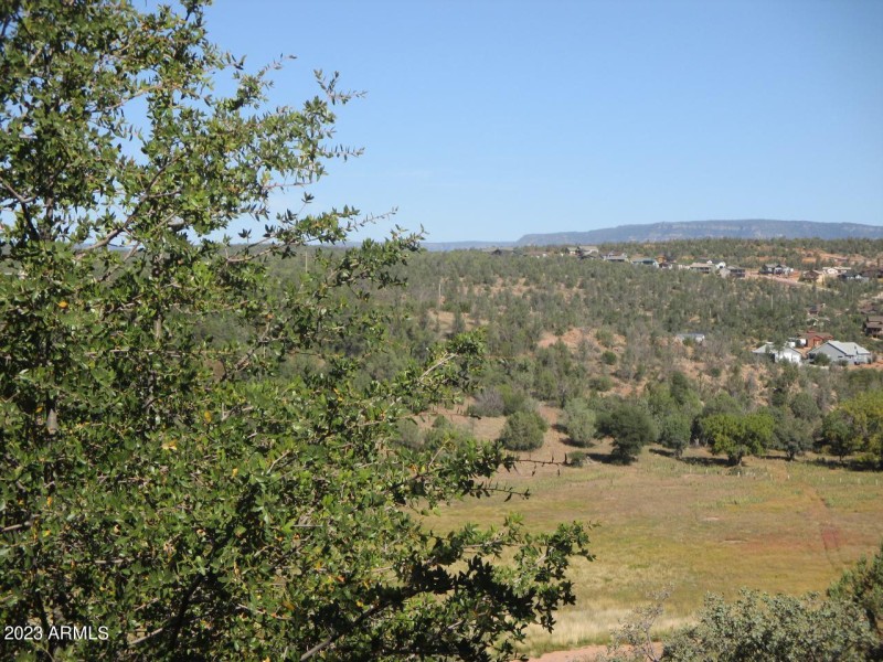 Photo 02