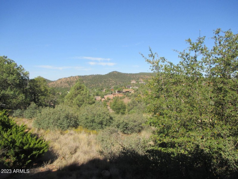 Photo 04