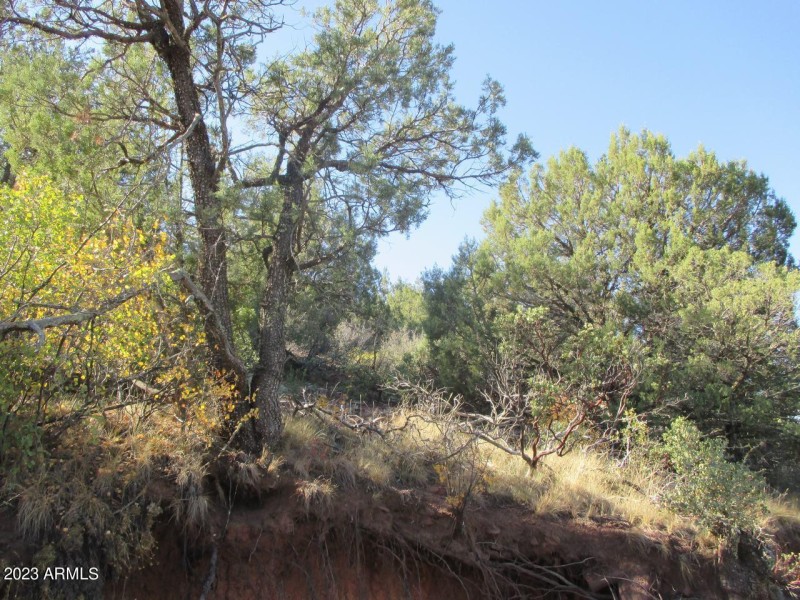 Photo 07