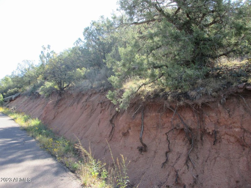 Photo 09