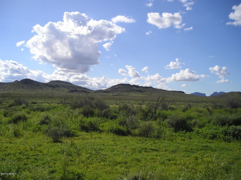 Beautiful Land