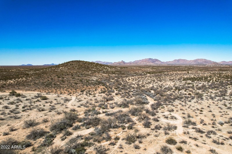 SAGUARO HILLS
