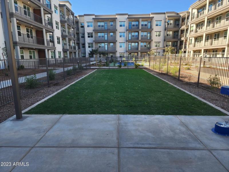 Dog Park