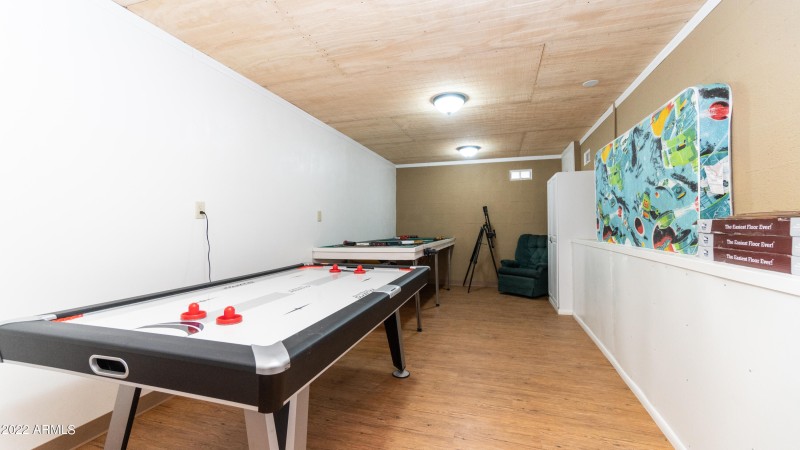 bonus storage/ game room