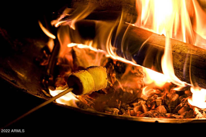 Marshmallow Roast by Fire