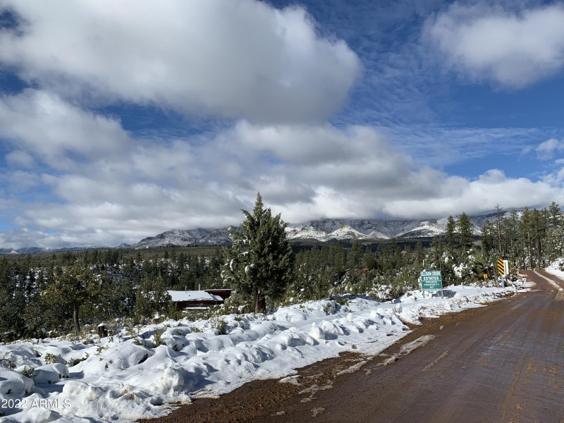Ellisson Creek @ Winter