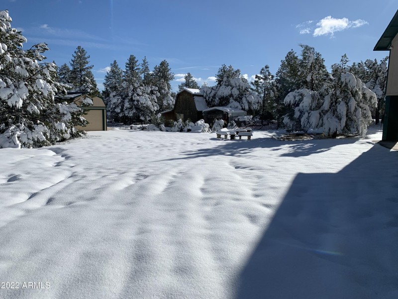 Winter Wonderland