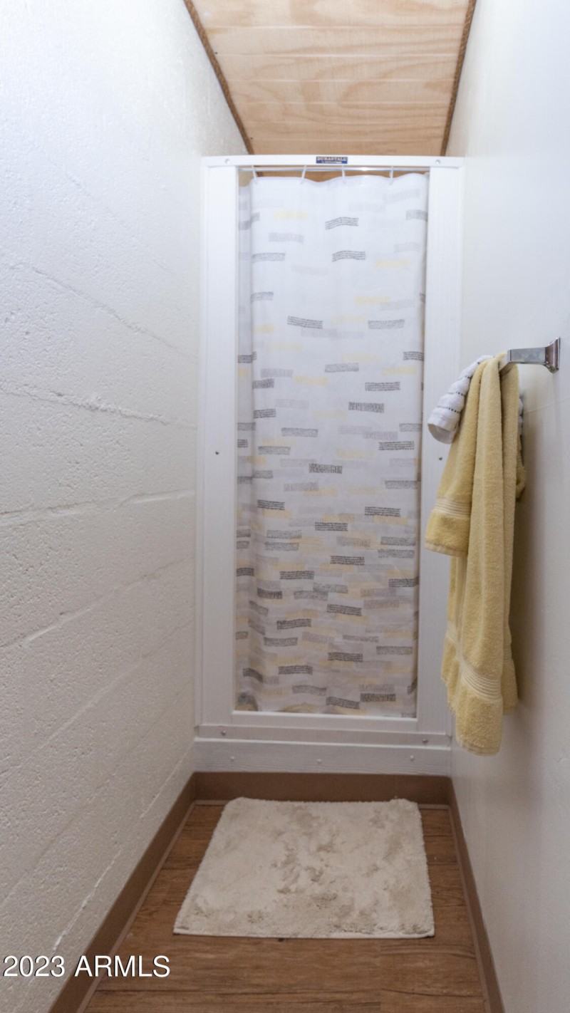 downstairs shower