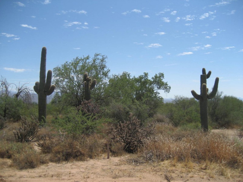 Appx 1/2 Mile South of Rio Verde Dr