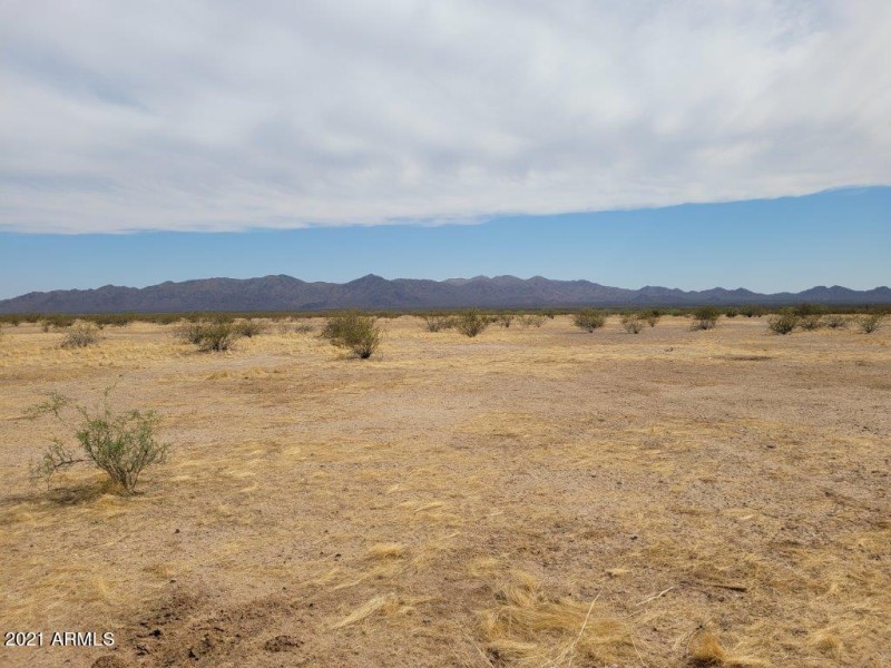 Property looking south