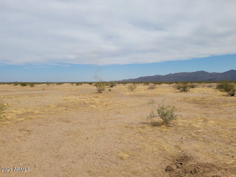 Property looking southeast