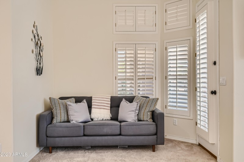 Primary sleeper sofa