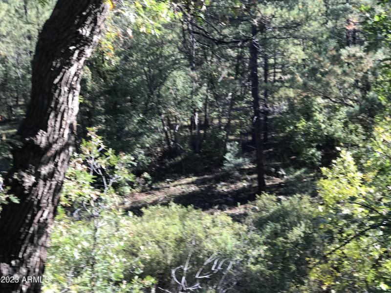 toward creek