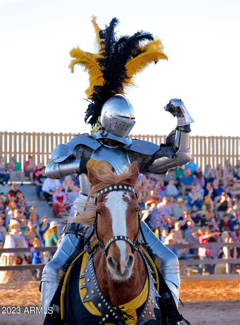 renaissance festival 2