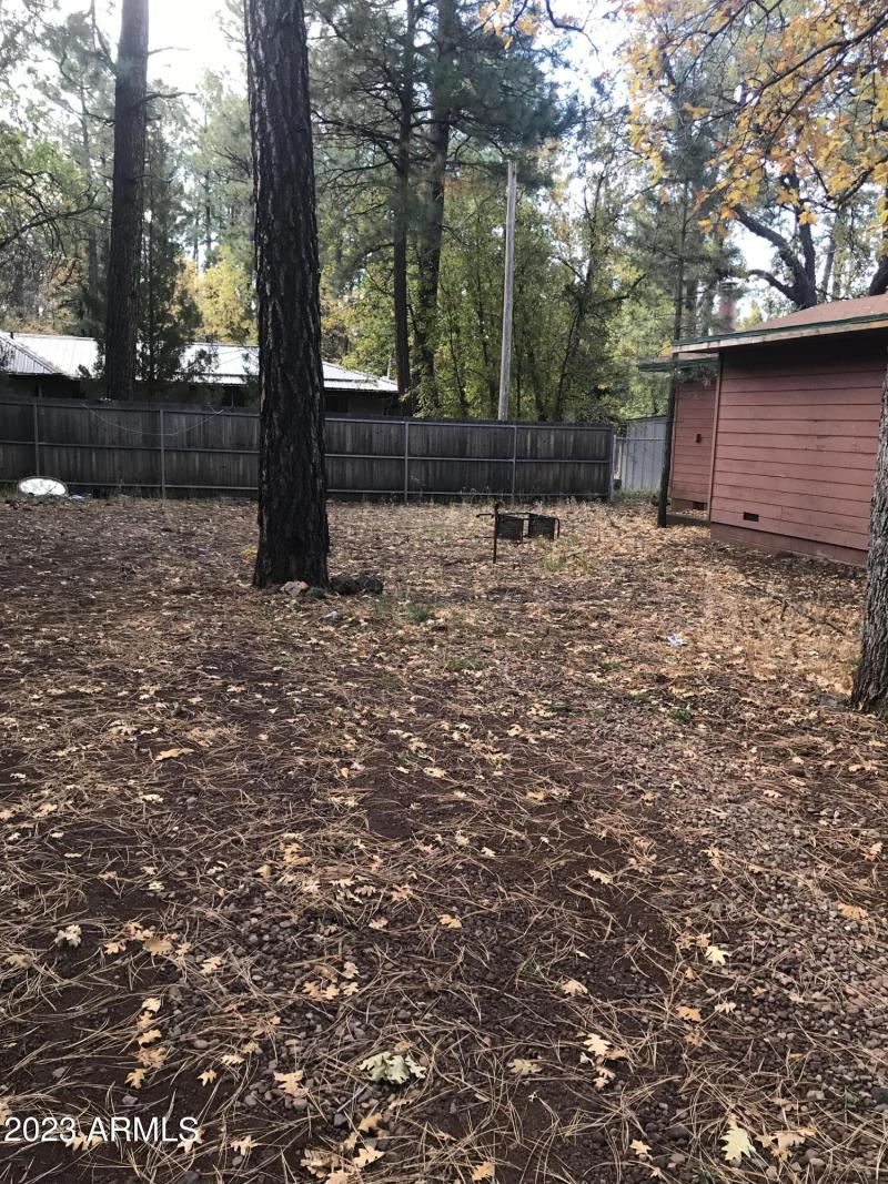 yard