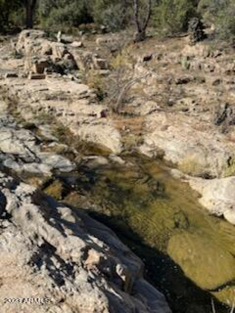 IMG_9005