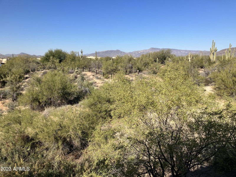 View from Junior Suite