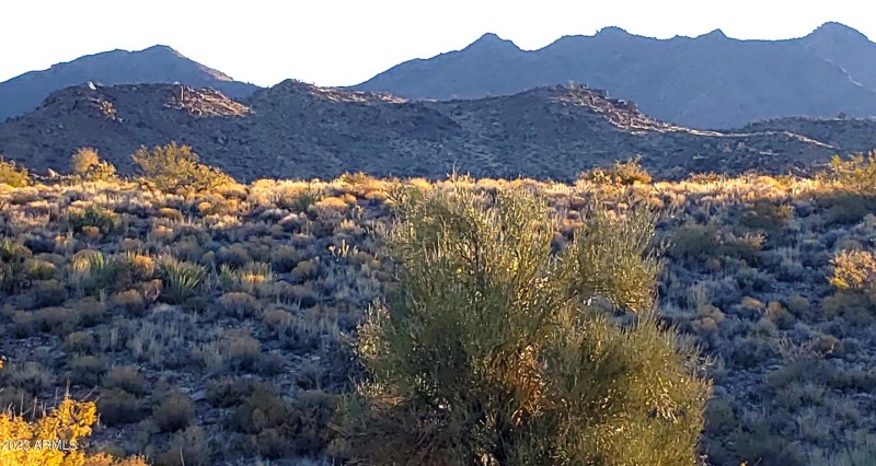 Canyon E2