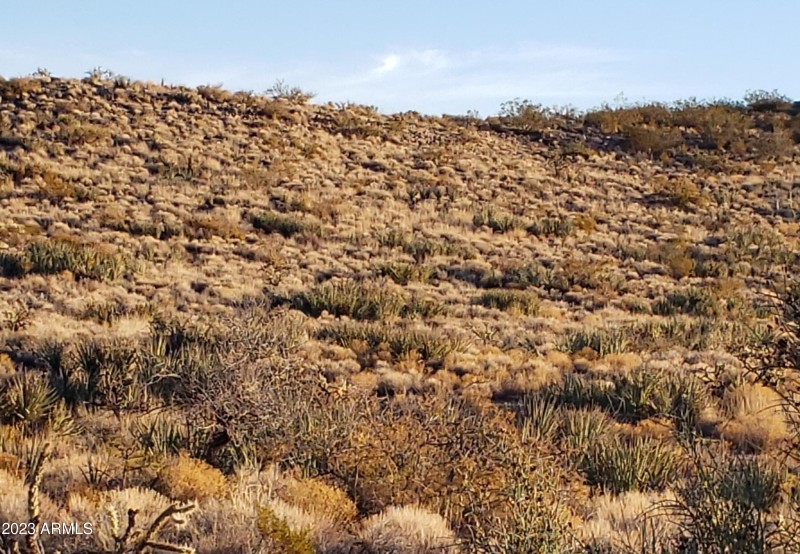 Canyon East