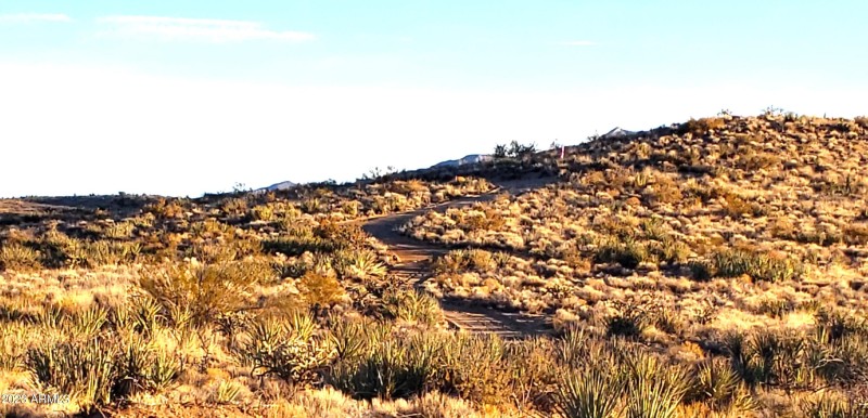 Canyon North
