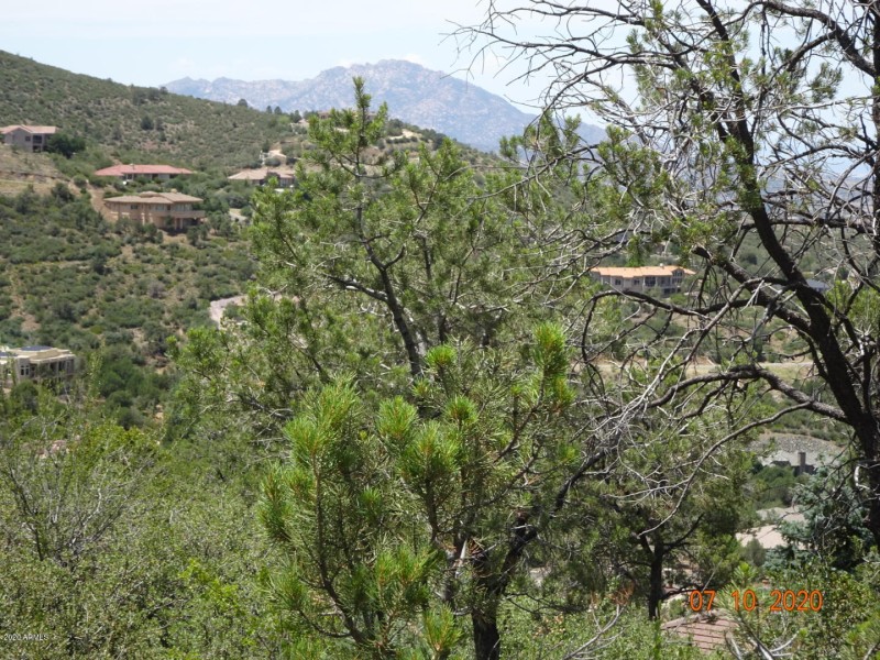 DSC00320