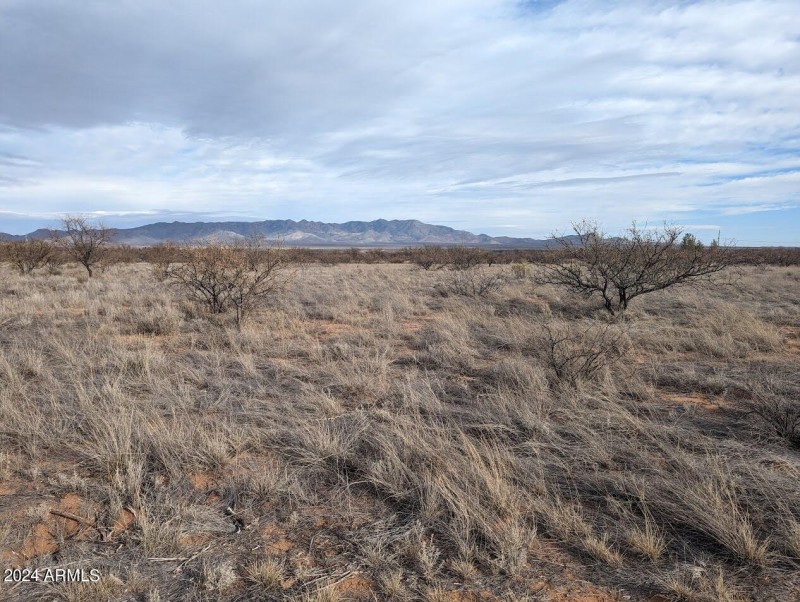 East View to Mule Mountains with radio T