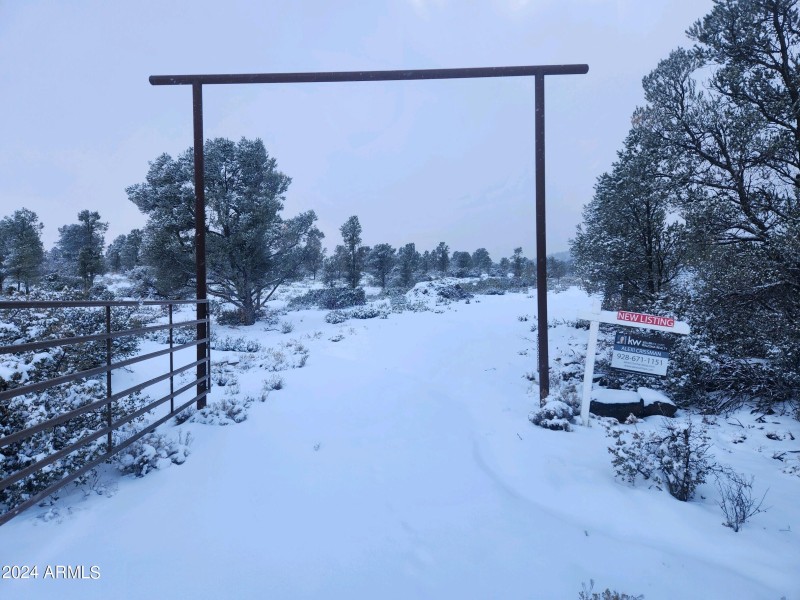 Snow Landscape