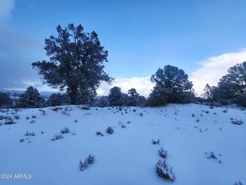Snow Landscape