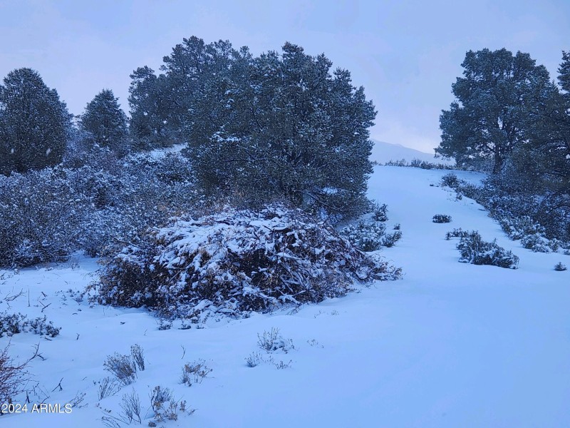 Snow Landscape